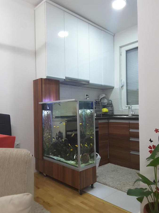 Apartment Wełes Zewnętrze zdjęcie